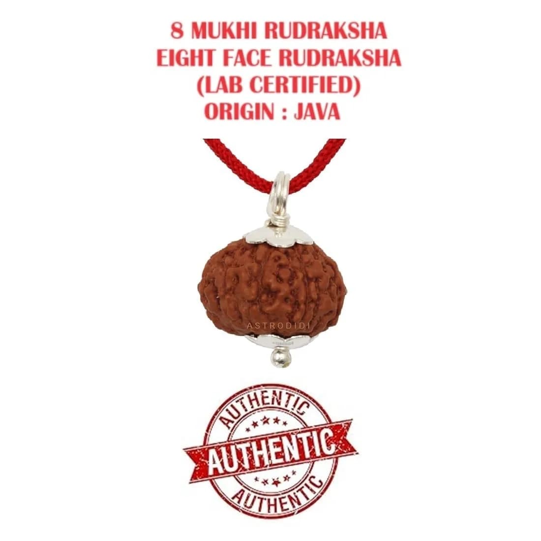 ASTRODIDI 8 Mukhi Rudraksha Pendant 17-18 MM | Certified Java Eight Face Small Size Silver Coated - view 3