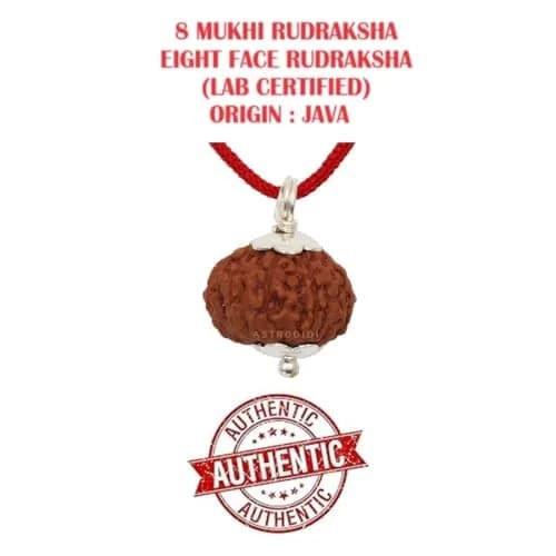 ASTRODIDI 8 Mukhi Rudraksha Pendant 17-18 MM | Certified Java Eight Face Small Size Silver Coated thumbnail 3