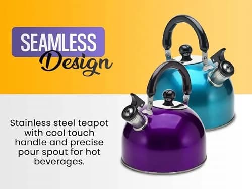YBM HOME Stainless Steel Whistling Tea Kettle 3L | Modern Induction Compatible Design thumbnail 2