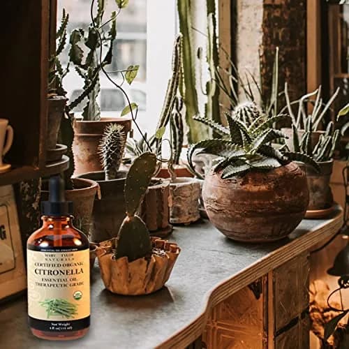 Mary Tylor Naturals Citronella Essential Oil 4 oz | Pure, Natural & Therapeutic Grade for Aromatherapy & DIY thumbnail 4