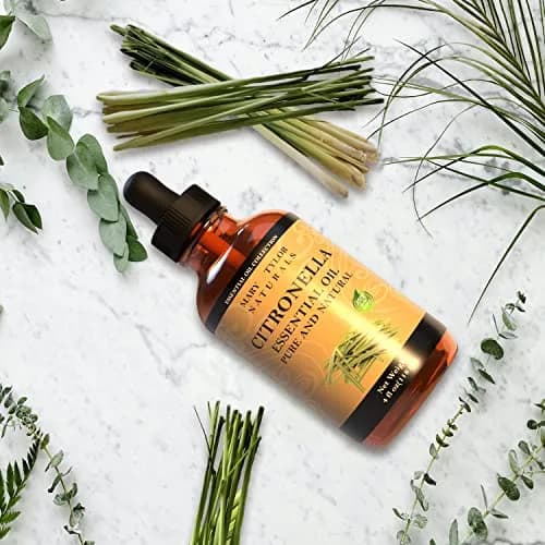 Mary Tylor Naturals Citronella Essential Oil 4 oz | Pure, Natural & Therapeutic Grade for Aromatherapy & DIY thumbnail 2