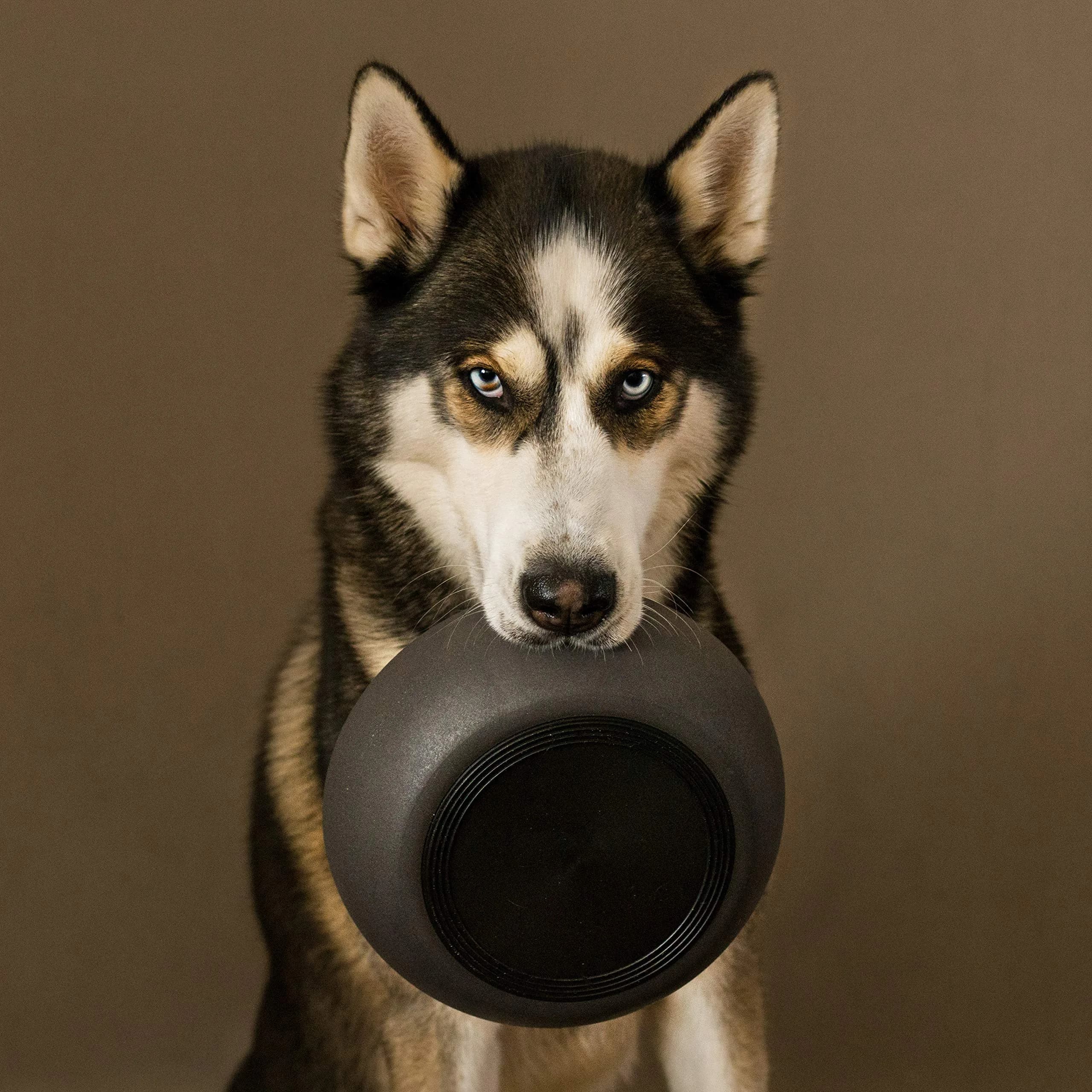District 70 Bamboo Dog Bowl Small Dark Grey 570ml (20 Fl Oz) | Non-Slip Base for Eager Eaters - view 6