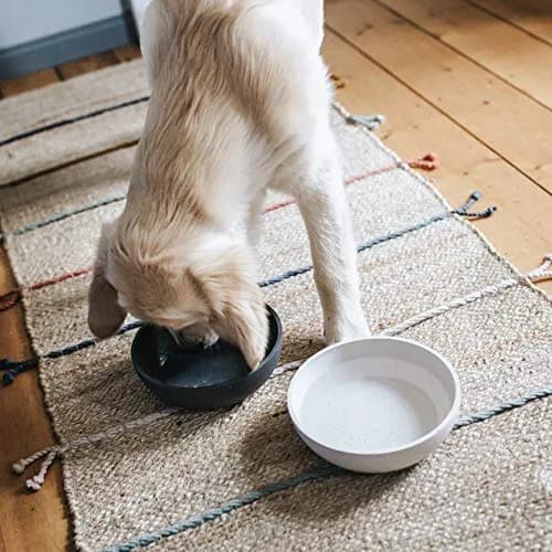 District 70 Bamboo Dog Bowl Small Merengue 570ml (19.27 Fl Oz) | Stylish Non-Slip Pet Feeder thumbnail 2