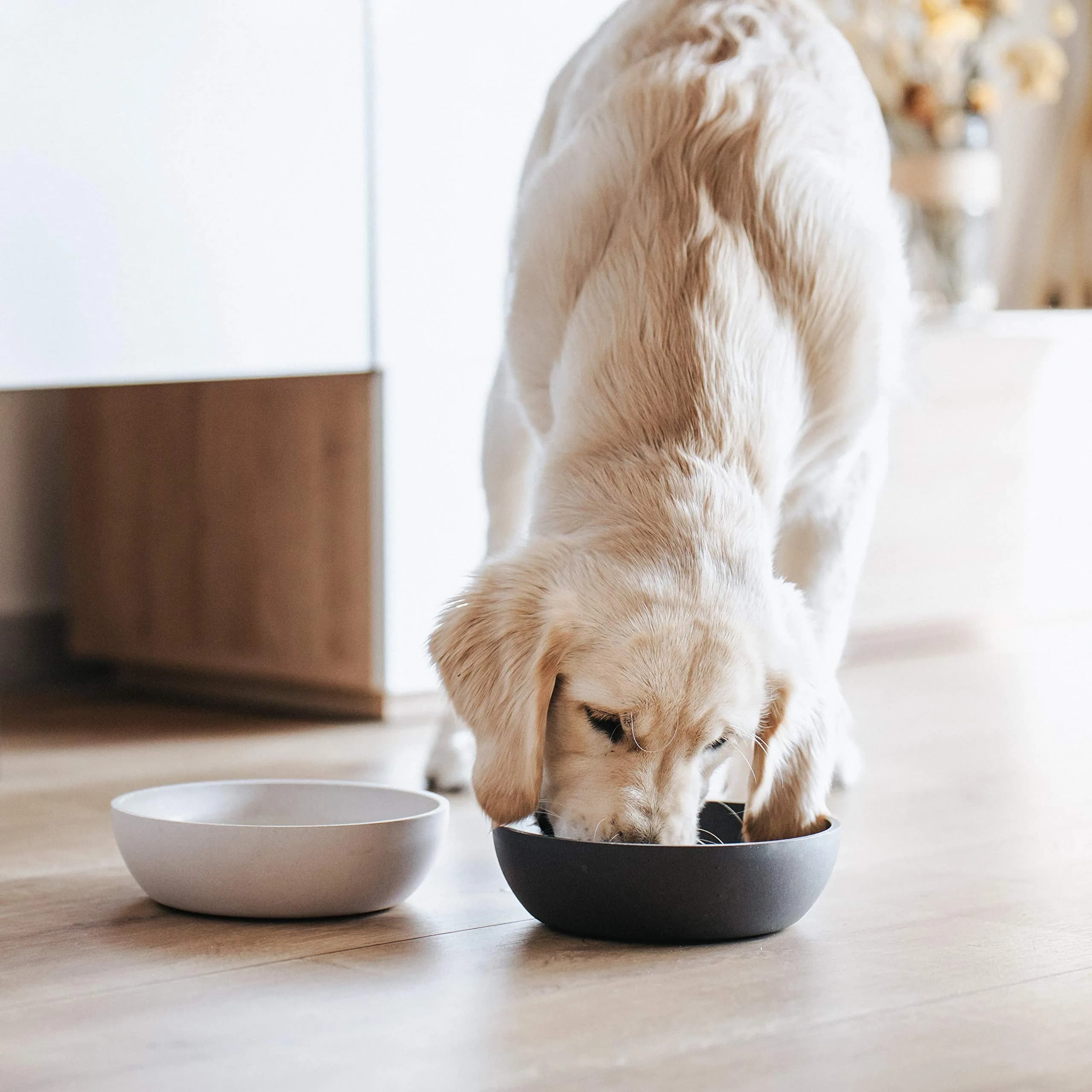 District 70 Bamboo Dog Bowl Small Merengue 570ml (19.27 Fl Oz) | Stylish Non-Slip Pet Feeder - view 3