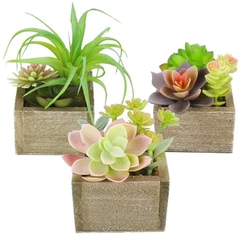Mingfuxin Artificial Succulents Indoor Fake Plants Set of 3 | Realistic Mini Potted Decor for Home & Bathroom thumbnail 1
