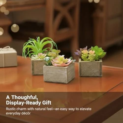 Mingfuxin Artificial Succulents Indoor Fake Plants Set of 3 | Realistic Mini Potted Decor for Home & Bathroom thumbnail 7