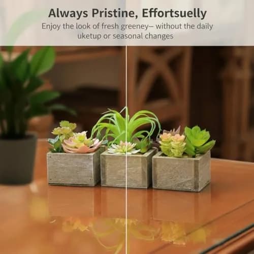Mingfuxin Artificial Succulents Indoor Fake Plants Set of 3 | Realistic Mini Potted Decor for Home & Bathroom thumbnail 8