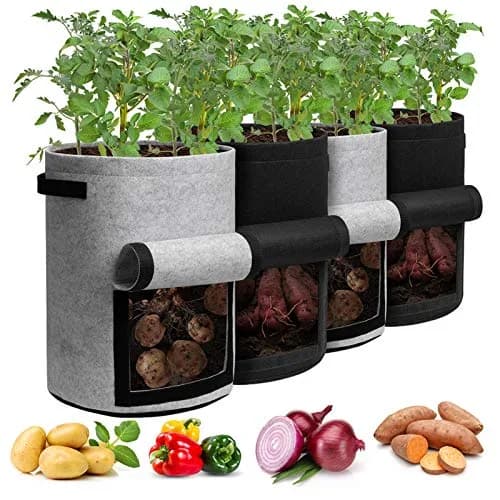 Homyhoo 4 Pack Plant Grow Bags 10 Gallon | Breathable, Handles & Harvest Window for Vegetables thumbnail 1
