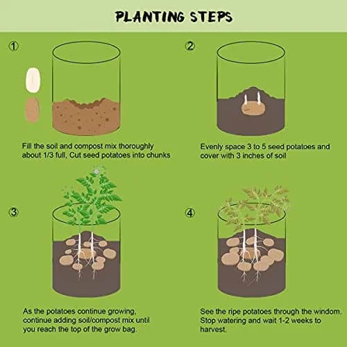 Homyhoo 4 Pack Plant Grow Bags 10 Gallon | Breathable, Handles & Harvest Window for Vegetables thumbnail 6