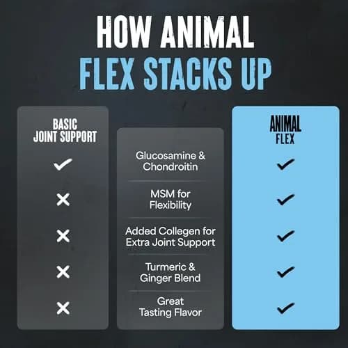 Animal Flex Joint Support Supplement Powder Cherry Berry 348g (13 oz) | Glucosamine & Chondroitin for Joint Health thumbnail 6