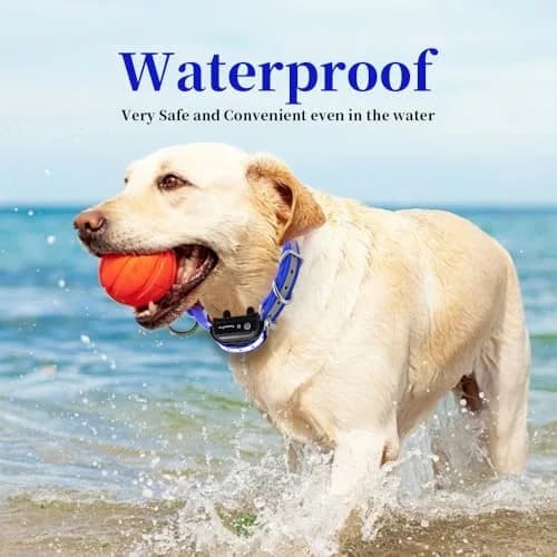 TrainPro Waterproof TPU Replacement Strap for Dog Training Collar, 70 cm (27.5 in) Blue Reflect | Durable & Secure Fit thumbnail 5