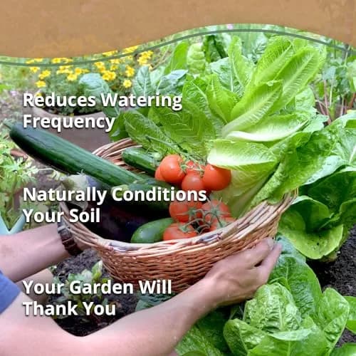plantonix Coco Chips Mulch Brick (10lbs) | Organic Moisture Retention for Gardens thumbnail 5
