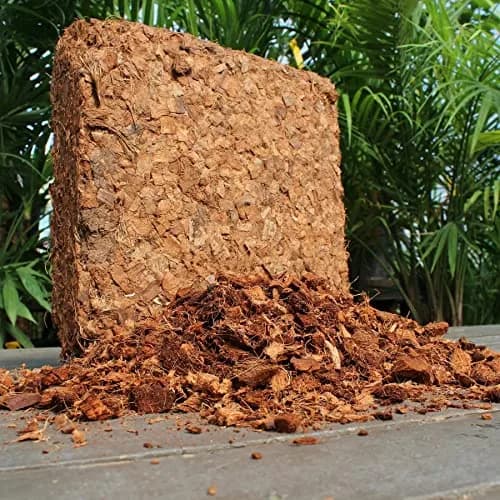 plantonix Coco Chips Mulch Brick (10lbs) | Organic Moisture Retention for Gardens thumbnail 7