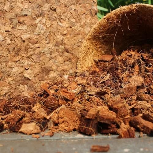 plantonix Coco Chips Mulch Brick (10lbs) | Organic Moisture Retention for Gardens thumbnail 8