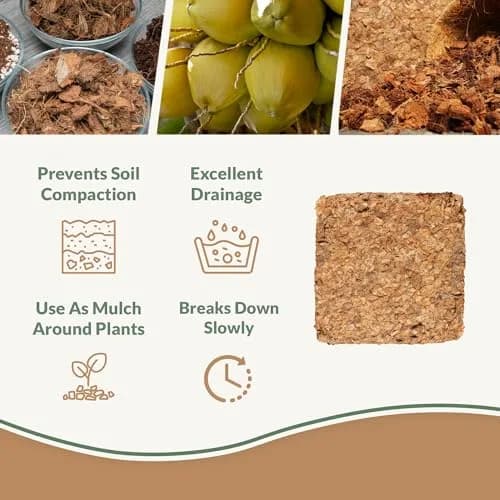 plantonix Coco Chips Mulch Brick (10lbs) | Organic Moisture Retention for Gardens thumbnail 2