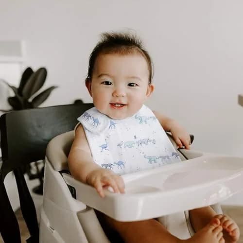 aden + anais Snap Baby Bib, 3 Pack, 23cm x 32.5cm (9" x 13") | 3-Layer Cotton Muslin for Infants thumbnail 3