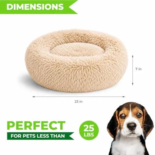 Whiskers & Friends Calming Donut Cat Bed 58cm (23") | Orthopedic Plush Pet Bed for Cats & Small Dogs thumbnail 2