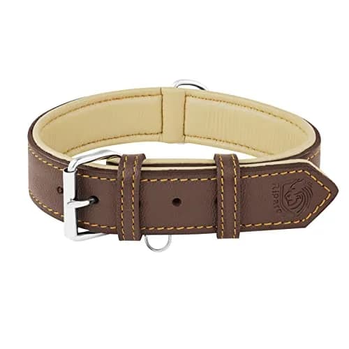 Riparo Heavy Duty Leather Dog Collar XXL 24-29" | Adjustable & Stylish thumbnail 1