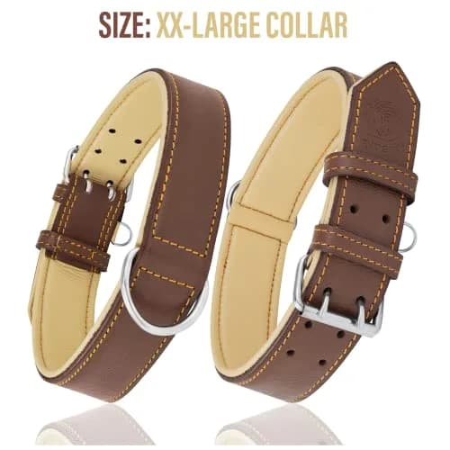 Riparo Heavy Duty Leather Dog Collar XXL 24-29" | Adjustable & Stylish thumbnail 4