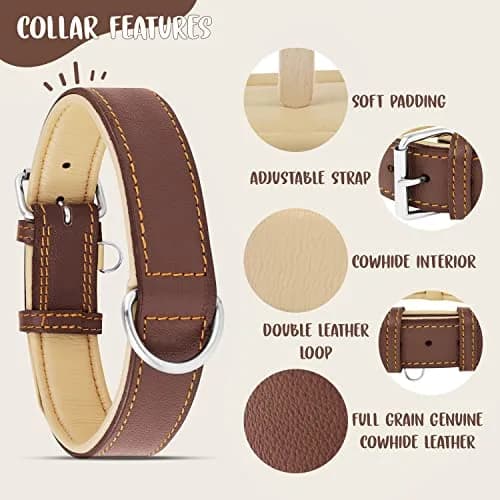 Riparo Heavy Duty Leather Dog Collar XXL 24-29" | Adjustable & Stylish thumbnail 5