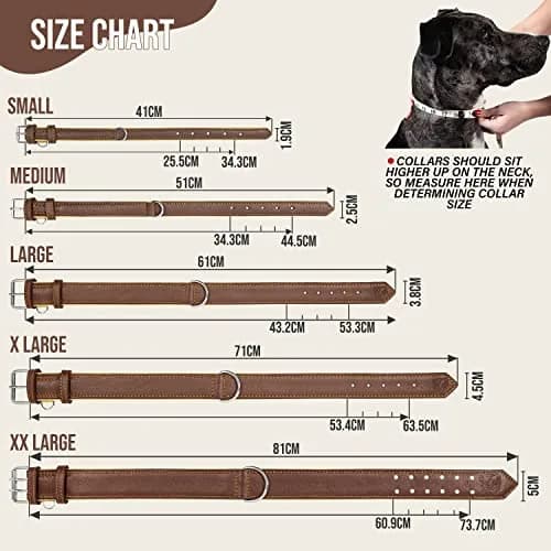 Riparo Heavy Duty Leather Dog Collar XXL 24-29" | Adjustable & Stylish thumbnail 6