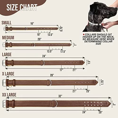 Riparo Heavy Duty Leather Dog Collar XXL 24-29" | Adjustable & Stylish thumbnail 2
