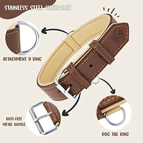 Riparo Heavy Duty Leather Dog Collar XXL 24-29" | Adjustable & Stylish thumbnail 3