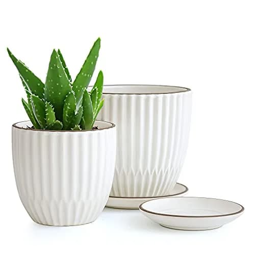 D'vine Dev 2-Pack Stoneware Planter Pots, 4.5 in & 5.8 in, Ivory | Modern Ribbed Ceramic Indoor Planters thumbnail 1