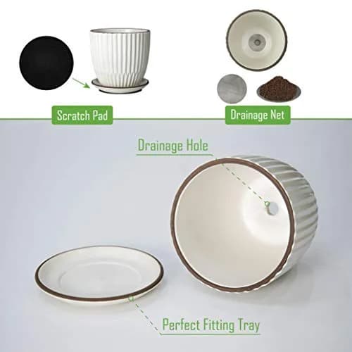 D'vine Dev 2-Pack Stoneware Planter Pots, 4.5 in & 5.8 in, Ivory | Modern Ribbed Ceramic Indoor Planters thumbnail 4