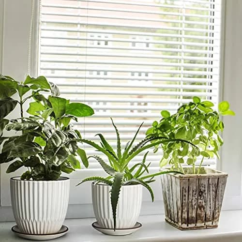 D'vine Dev 2-Pack Stoneware Planter Pots, 4.5 in & 5.8 in, Ivory | Modern Ribbed Ceramic Indoor Planters thumbnail 5