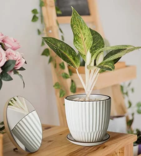 D'vine Dev 2-Pack Stoneware Planter Pots, 4.5 in & 5.8 in, Ivory | Modern Ribbed Ceramic Indoor Planters thumbnail 6