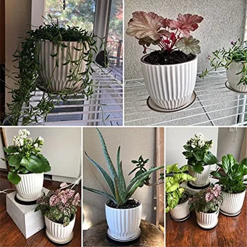 D'vine Dev 2-Pack Stoneware Planter Pots, 4.5 in & 5.8 in, Ivory | Modern Ribbed Ceramic Indoor Planters thumbnail 7