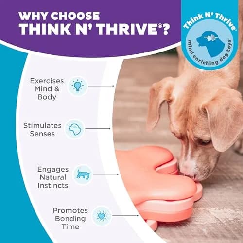 Outward Hound Nina Ottosson Puppy Tornado Puzzle Dog Toy, Level 2, 9.8" | Interactive Treat Challenge for Dogs thumbnail 6