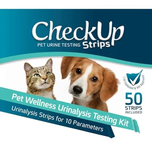 KIT4CAT CheckUp Urine Test Strips for Cats & Dogs, 50 Count | 10 Parameters for Pet Health Monitoring thumbnail 7