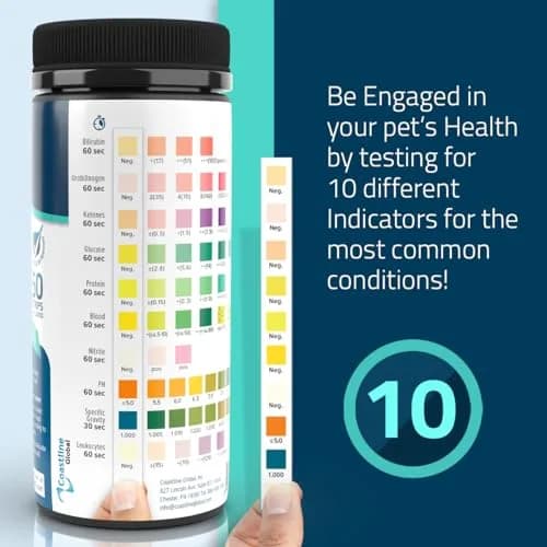 KIT4CAT CheckUp Urine Test Strips for Cats & Dogs, 50 Count | 10 Parameters for Pet Health Monitoring thumbnail 3