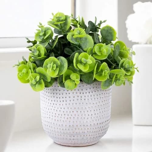Karlliu Artificial Plants in Ceramic Planter 5" x 6" | Lifelike Succulent Decor for Home & Office thumbnail 1