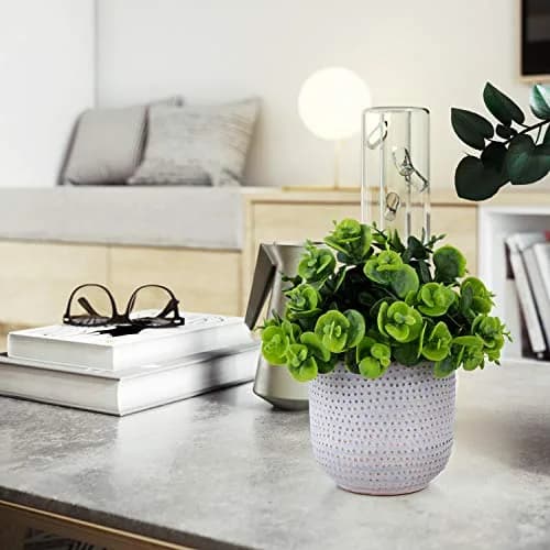 Karlliu Artificial Plants in Ceramic Planter 5" x 6" | Lifelike Succulent Decor for Home & Office thumbnail 4