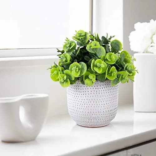 Karlliu Artificial Plants in Ceramic Planter 5" x 6" | Lifelike Succulent Decor for Home & Office thumbnail 5