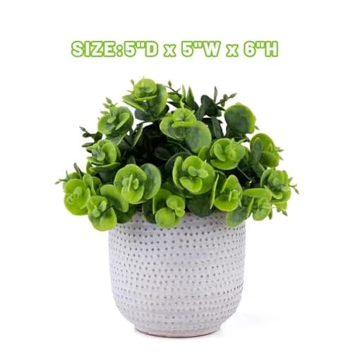 Karlliu Artificial Plants in Ceramic Planter 5" x 6" | Lifelike Succulent Decor for Home & Office thumbnail 7