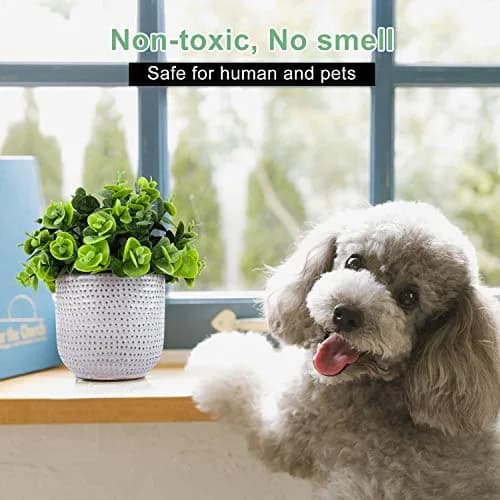 Karlliu Artificial Plants in Ceramic Planter 5" x 6" | Lifelike Succulent Decor for Home & Office thumbnail 3