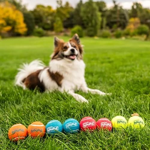 Outward Hound Squeaker Ballz Tennis Ball Dog Toy Small 2" 8-Pack | Durable Rubber Fetch & Squeak Toy for Small Dogs thumbnail 5