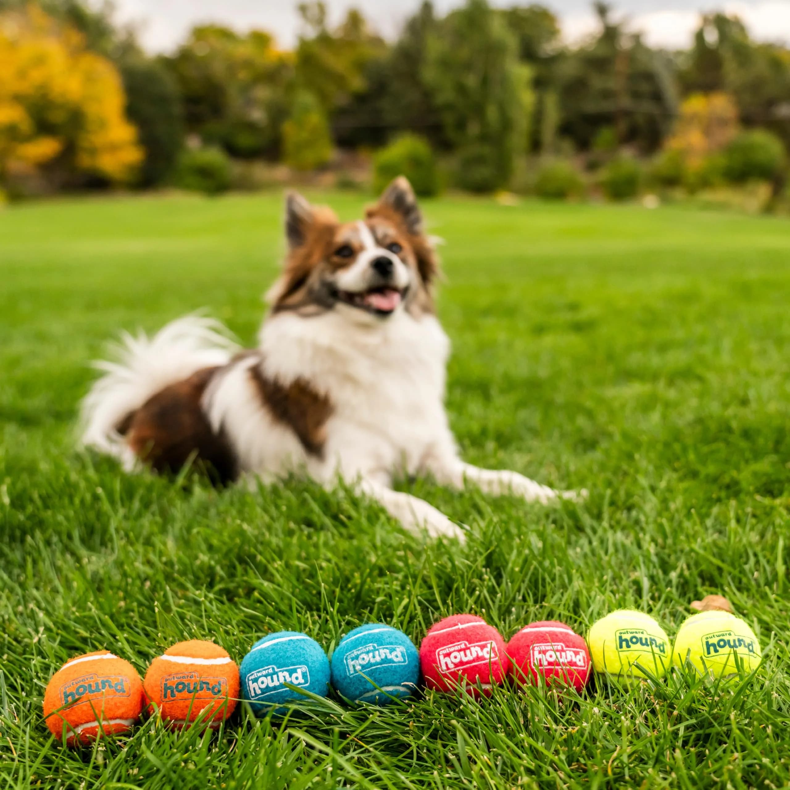 Outward Hound Squeaker Ballz Tennis Ball Dog Toy Small 2" 8-Pack | Durable Rubber Fetch & Squeak Toy for Small Dogs - view 5