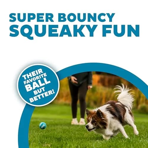 Outward Hound Squeaker Ballz Tennis Ball Dog Toy Small 2" 8-Pack | Durable Rubber Fetch & Squeak Toy for Small Dogs thumbnail 2