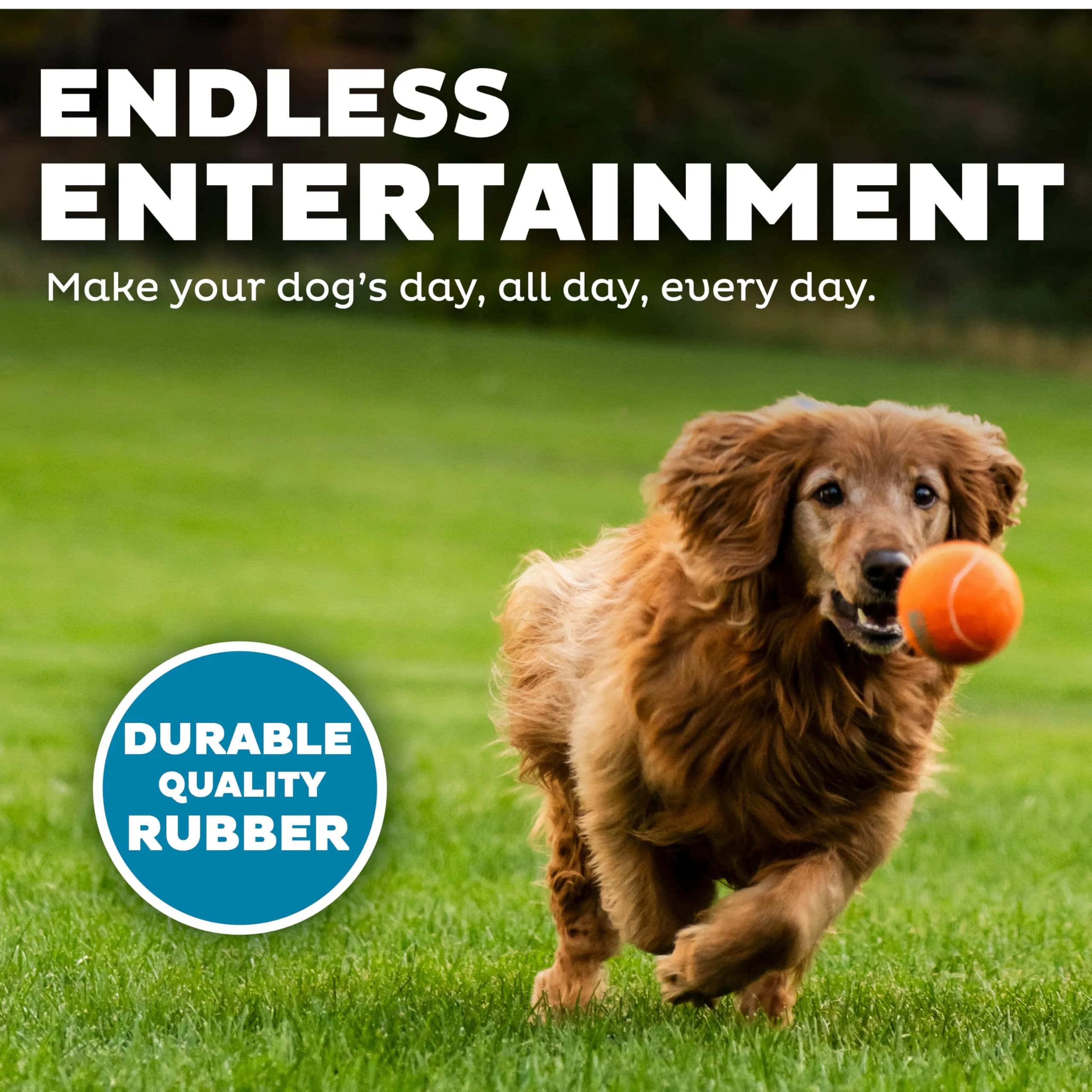 Outward Hound Squeaker Ballz Tennis Ball Dog Toy, Large 3" (7.6 cm) 4-Pack | Durable Fetch & Training Toy - view 4