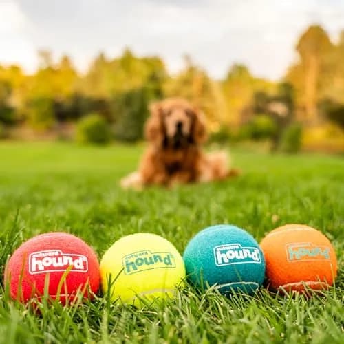 Outward Hound Squeaker Ballz Tennis Ball Dog Toy, Large 3" (7.6 cm) 4-Pack | Durable Fetch & Training Toy thumbnail 5