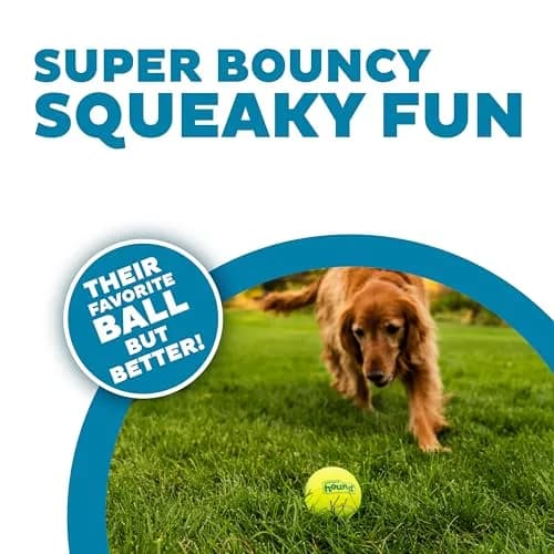 Outward Hound Squeaker Ballz Tennis Ball Dog Toy, Large 3" (7.6 cm) 4-Pack | Durable Fetch & Training Toy thumbnail 2
