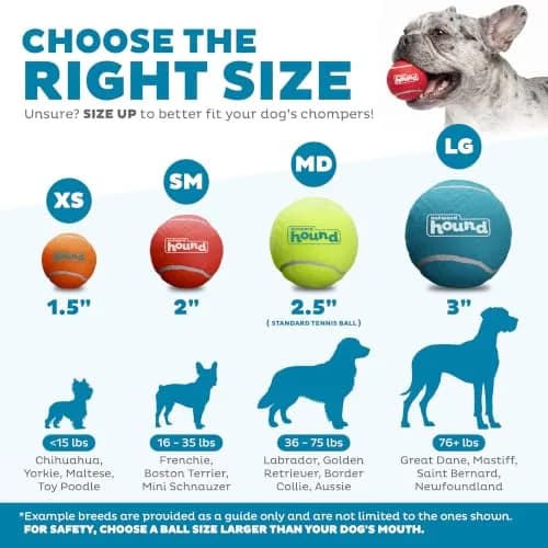 Outward Hound Squeaker Ballz Tennis Ball Dog Toy, Large 3" (7.6 cm) 4-Pack | Durable Fetch & Training Toy thumbnail 3