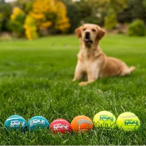 Outward Hound Squeaker Ballz Tennis Ball Dog Toy, Medium 2.5" (6-Pack) | Bright, Bouncy, Squeaky Fetch Toy thumbnail 6