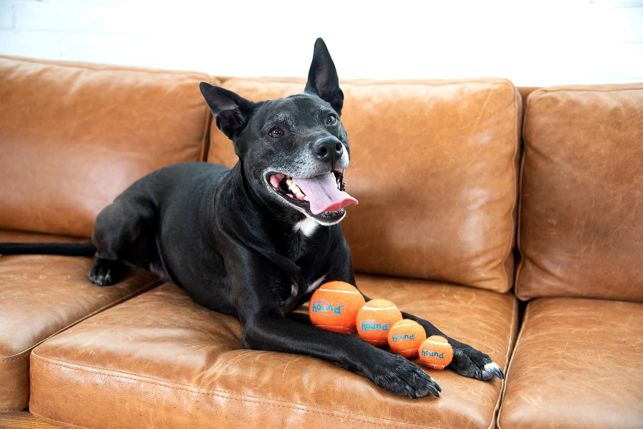 Outward Hound Squeaker Ballz Tennis Ball Dog Toy, Medium 2.5" (6-Pack) | Bright, Bouncy, Squeaky Fetch Toy - view 2