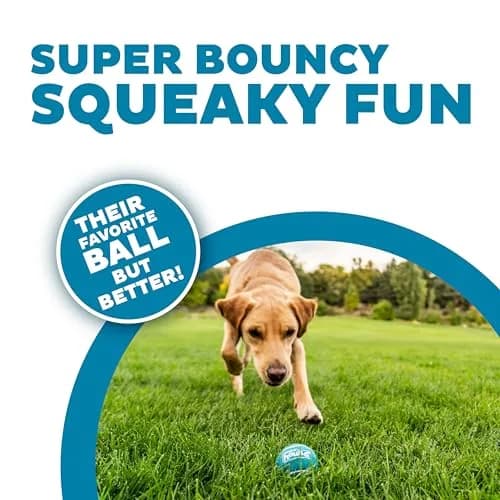Outward Hound Squeaker Ballz Tennis Ball Dog Toy, Medium 2.5" (6-Pack) | Bright, Bouncy, Squeaky Fetch Toy thumbnail 3